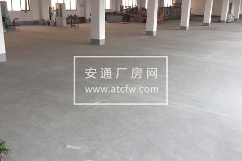 仁和标准1300方厂房零土地资源招商