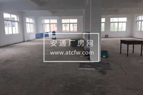 仁和1楼1000方厂房出租