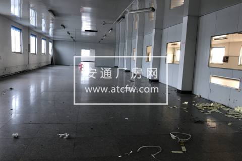 出租塘栖工业园800方单层钢构