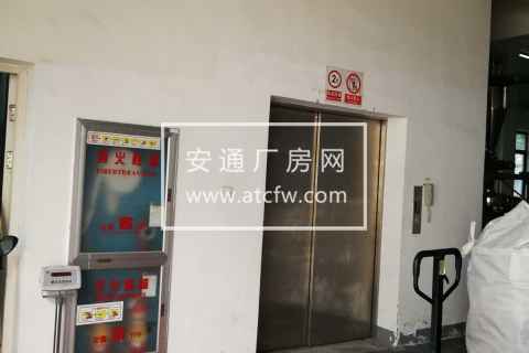 出租楼上1500方厂房