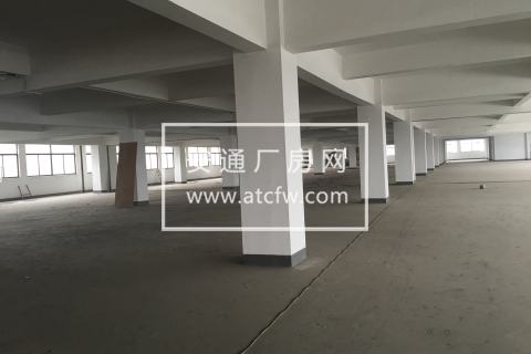 出租20000方厂房