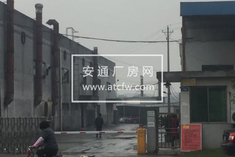 出租仓前街道底层1000方标注厂房