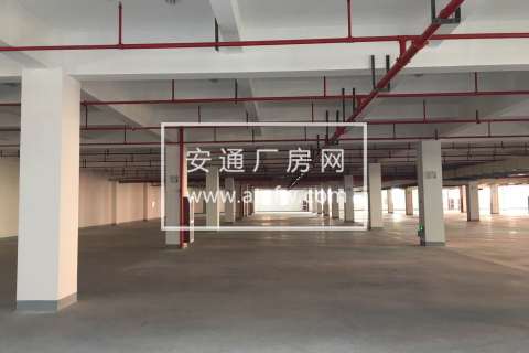 出租临平开发区底层3000方