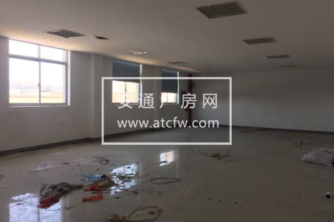 五洲路旁3楼1300方厂房出租