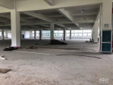 出租余杭仓前1楼700方左右标准厂房