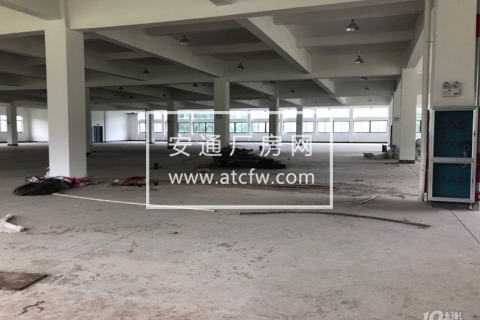 出租余杭仓前1楼700方左右标准厂房