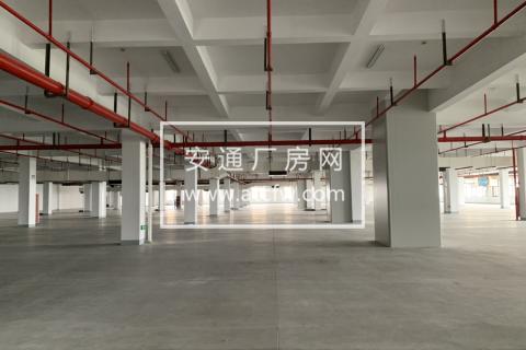 出租临平开发区底层3000方