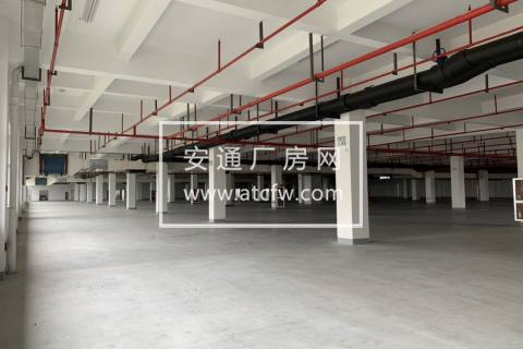 出租临平开发区底层3000方