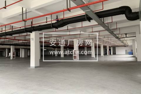 出租临平开发区底层3000方