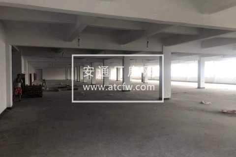 出租 仓前3楼1800厂房