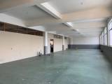 出租余杭塘栖二楼550方+2楼300方及底层150多方厂房